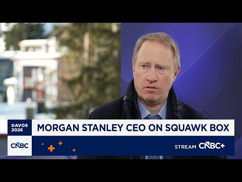 Morgan Stanley CEO Ted Pick: Corporate health of large cap companies is excellent