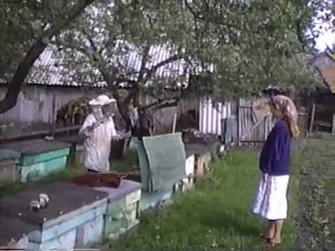 Badeuti - Pe livada Vecinii Prasesc 1991 #1