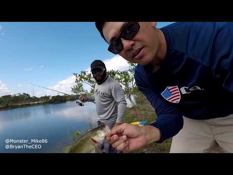 MAGNET FISHING Alligator Eats Bass | Monster Mike