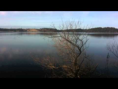 D Perez Largo For 2 Bassoons and Organ