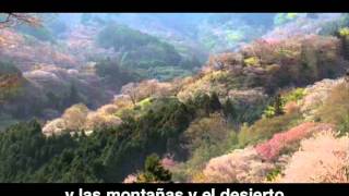 CARLOS SANTANA - Primavera (lyric) Blog ☞ : &quot;Semilla de Vida&quot; http://ppdopico.com