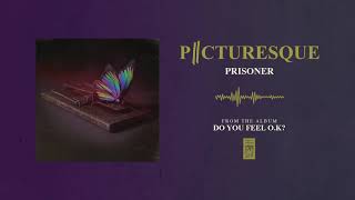 Prisoner Music Video