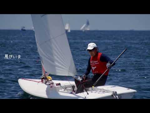 Seahopper Shonan Champion Series 2025 Round 4 - Zushi Fleet #sailing#zushi#zaimokuza