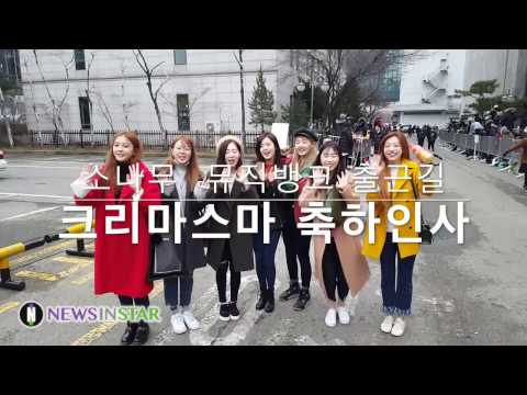 KBS 뮤직벵크 출근길 크리스마스 인사 - 소나무