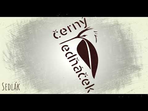 Černý Ledňáček - Sedlák MBA