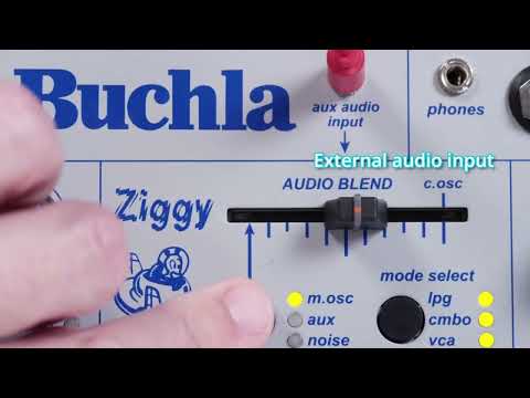 Buchla Ziggy Analog Desktop Synthesizer PREORDER image 8