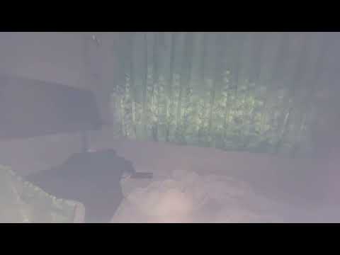 How it looks like inside the full SRT SP46 train