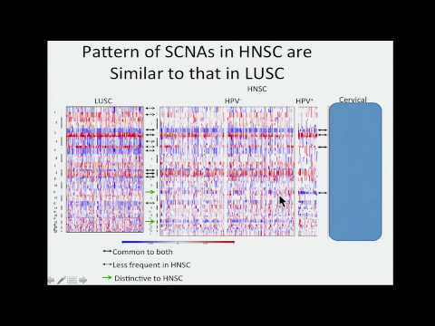 TCGA: Genomic Characterization of Squamous Cell Carcinoma of the Head Neck - David Hayes