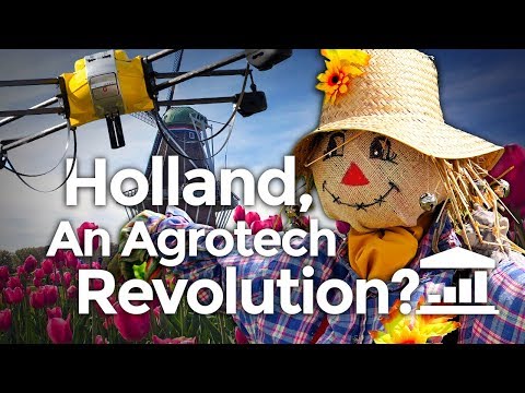 , title : 'Why The NETHERLANDS is the World's AGRICULTURE leader? - VisualPolitik EN'