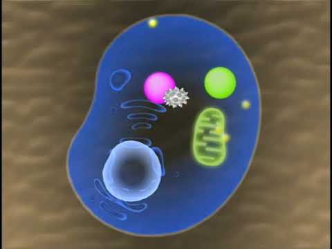 水銀 (職業病)について詳しく解説