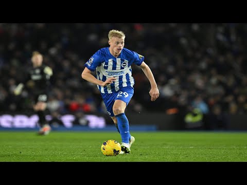 The BEAST of Jan Paul van Hecke ● Defensive Skills & Highlights 2024