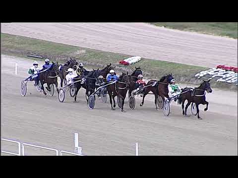 Napoli Trotto 13/01/2023 - 3ª corsa