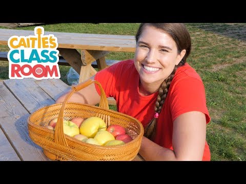 Let's Go To An Apple Orchard | Caitie's Classroom Field Trips | Food Videos for Kids