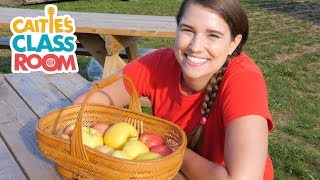 Let&#39;s Go To An Apple Orchard | Caitie&#39;s Classroom Field Trips | Food Videos for Kids