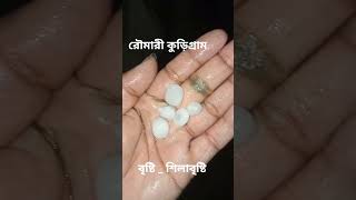 বাগেরহাটে বৃষ্টি _শিলাবৃষ্টি