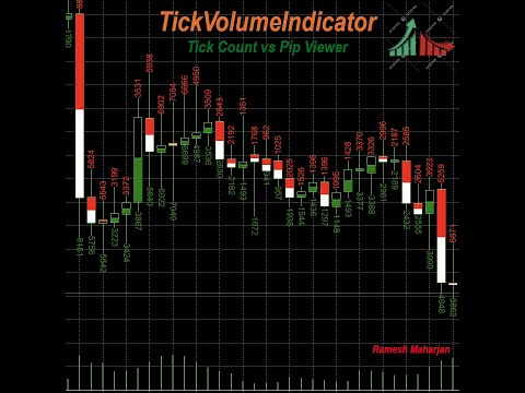 Video TickVolumeIndicator