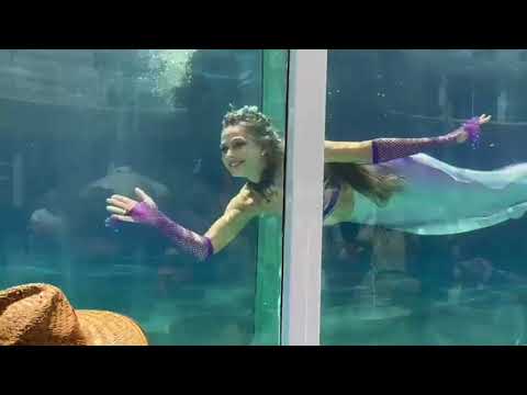 Mermaid Tank Show Perth | Live Underwater Performance by MerPeople Australia