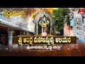 Sri Srikakula Andhra Maha Vishnu Temple Srikakulam Krishna DT Teerthayatra 29th Mar 2025 ETV