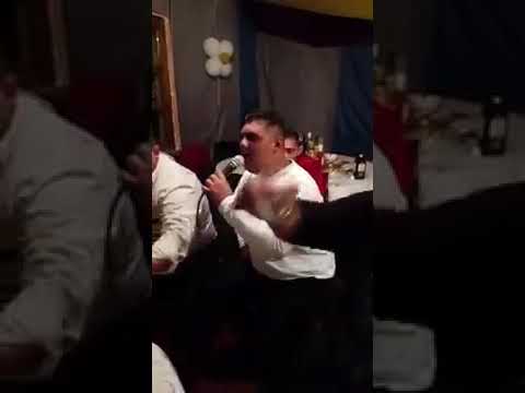 Kis Palika kegyetlen halgato 2019