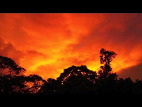 Audiomission & Seymz - Jr Gong remix