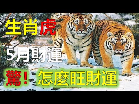 2023屬虎幸運物