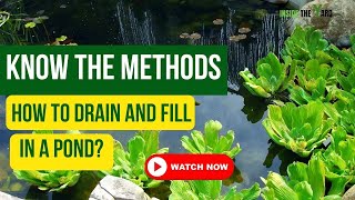 [A Complete Guide] How To Drain And Fill In A Pond