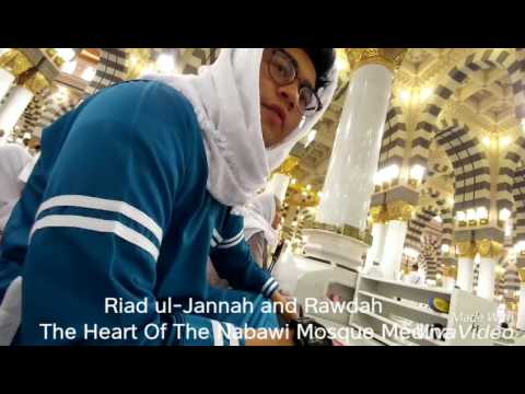 Riad ul-Jannah and Rawdah, The Heart of Nabawi Mosque Medina