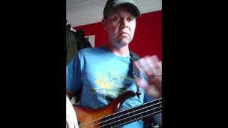Goodfellow Player fretless bass