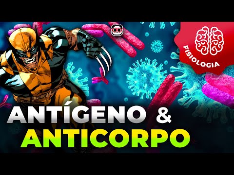 Antígenos e Anticorpos, o que são?