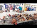 Tripura Popular Rabbit Market Manu Bazar #inbersibanivlogs