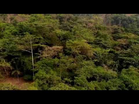 J'AIME LE CONGO, NOUS AIMONS LE CONGO