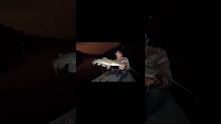 Pescaria dos Capararis em frente de onde estávamos acampando na Amazônia