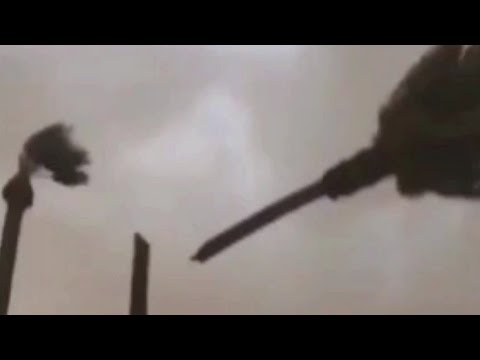 Arizona winds snap palm tree in half (raw footage)