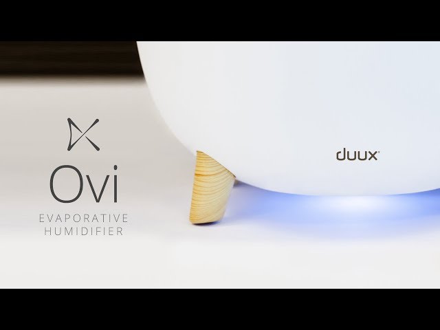 Video Teaser für Duux Ovi evaporative humidifier