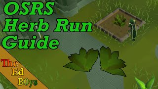 OSRS Herb Run Guide | Make Money Growing Herbs (Herb Runs)