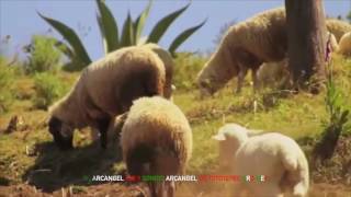 ESTA ES PA&#39;MI VIEJO ESPINOZA PAZ Video Oficial