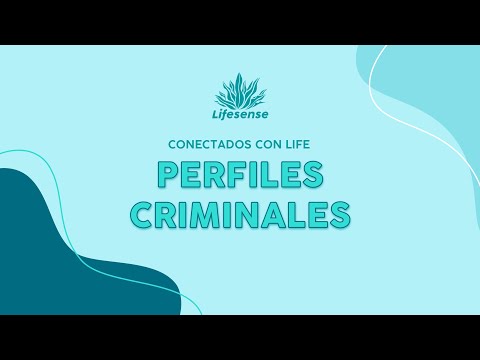 La Realidad De Los Perfiles Criminales