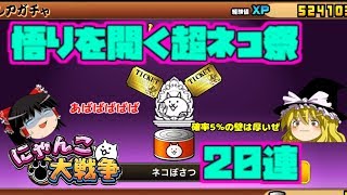 【ゆっくり実況】5%の壁を超えたい超ネコ祭 にゃんこ大戦争