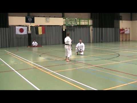 Hogan Shihandai Bunkai in Gent 2010