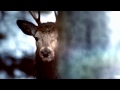 Outlander Theme (Season 1)