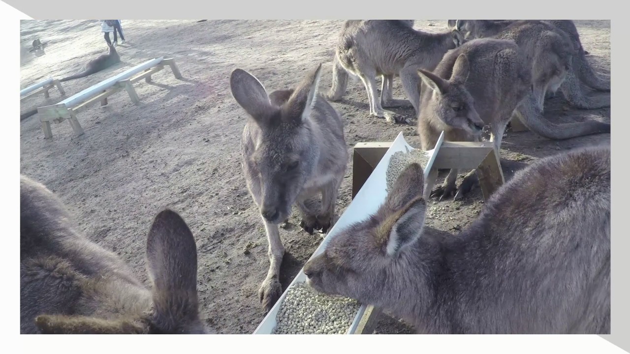 Our Tasmanian Experience