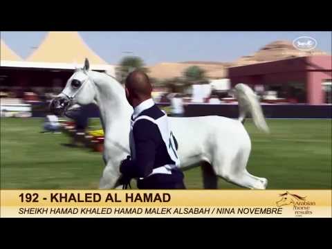 KHALED AL HAMAD - KAAHC   Championships 2015 class video