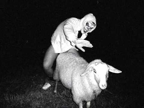 Hollywood Hank - Einfacher Mensch