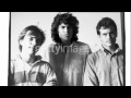 Meat Puppets - Animal