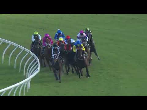 TIVACI 2017 All Aged Stakes win