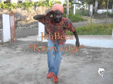 JahBeez - Knowledge