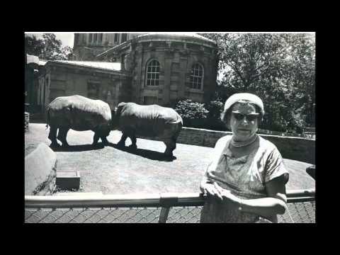 Garry Winogrand MIT Q&A with Winogrand Photographs