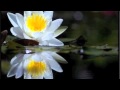 Om Namah Shivaya - Meditación