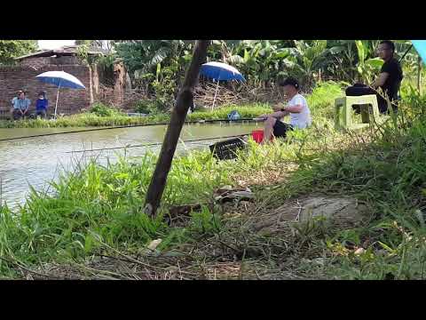 Khách câu cá tại hồ