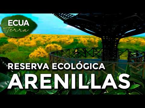 Ecuaterra🌱El Oro: 150 especies de aves viven en la reserva ecológica Arenillas | Ecuavisa